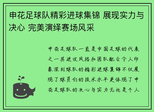 申花足球队精彩进球集锦 展现实力与决心 完美演绎赛场风采
