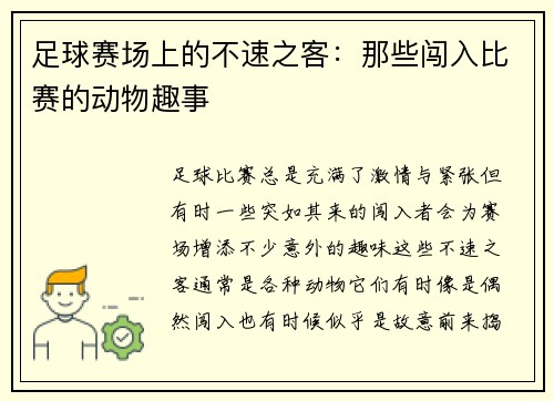 足球赛场上的不速之客：那些闯入比赛的动物趣事