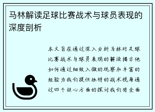 马林解读足球比赛战术与球员表现的深度剖析