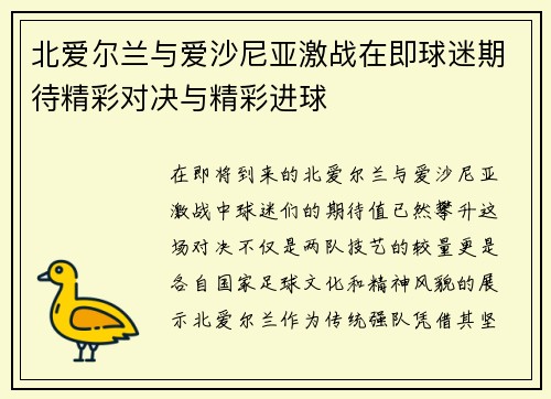 北爱尔兰与爱沙尼亚激战在即球迷期待精彩对决与精彩进球